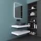 Designed Bathroom Basin Shelf Vanity Stone Resin in White Single 420/480/500mm